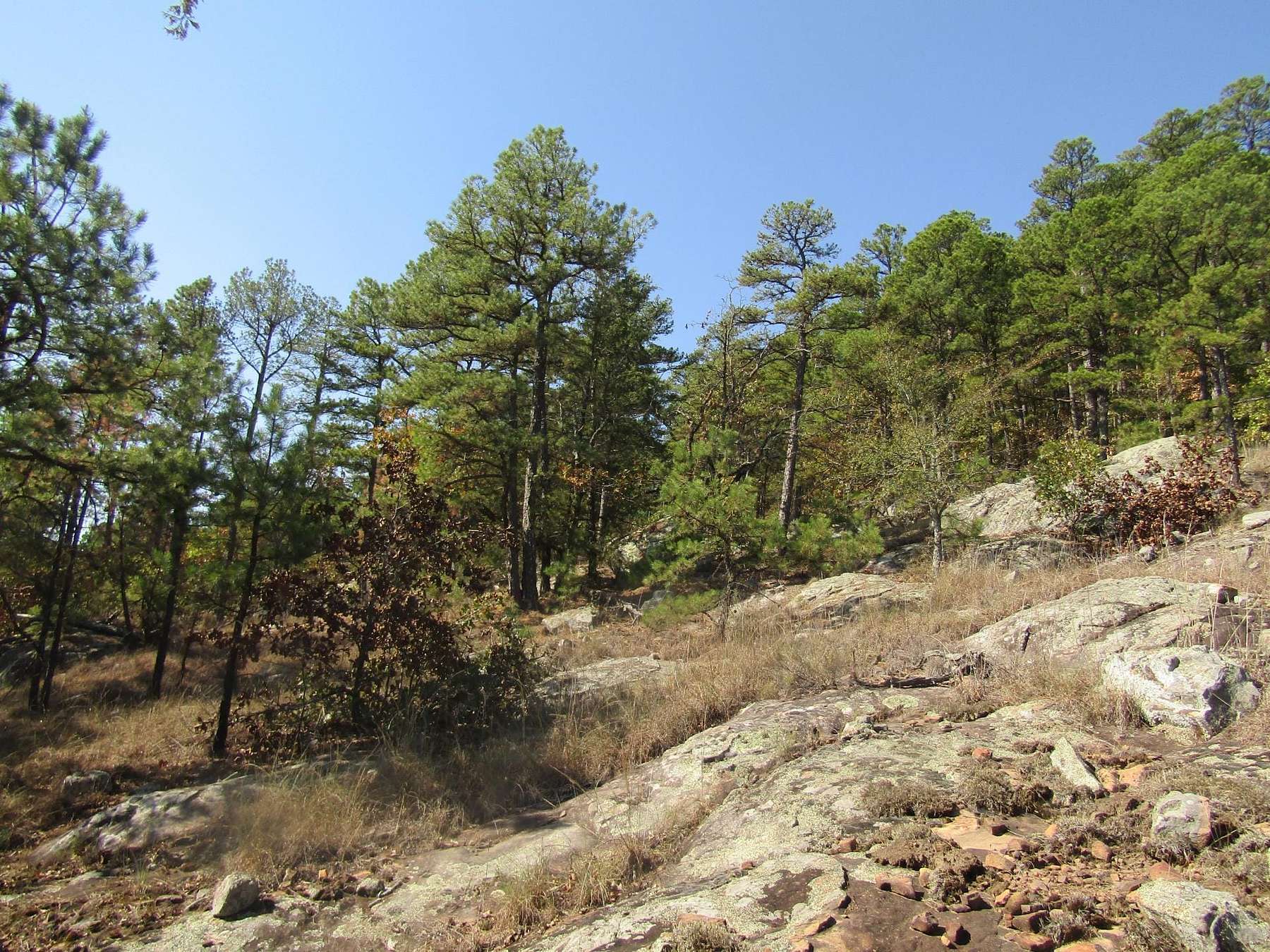 517 Acres of Recreational Land & Farm for Sale in Moyers, Oklahoma