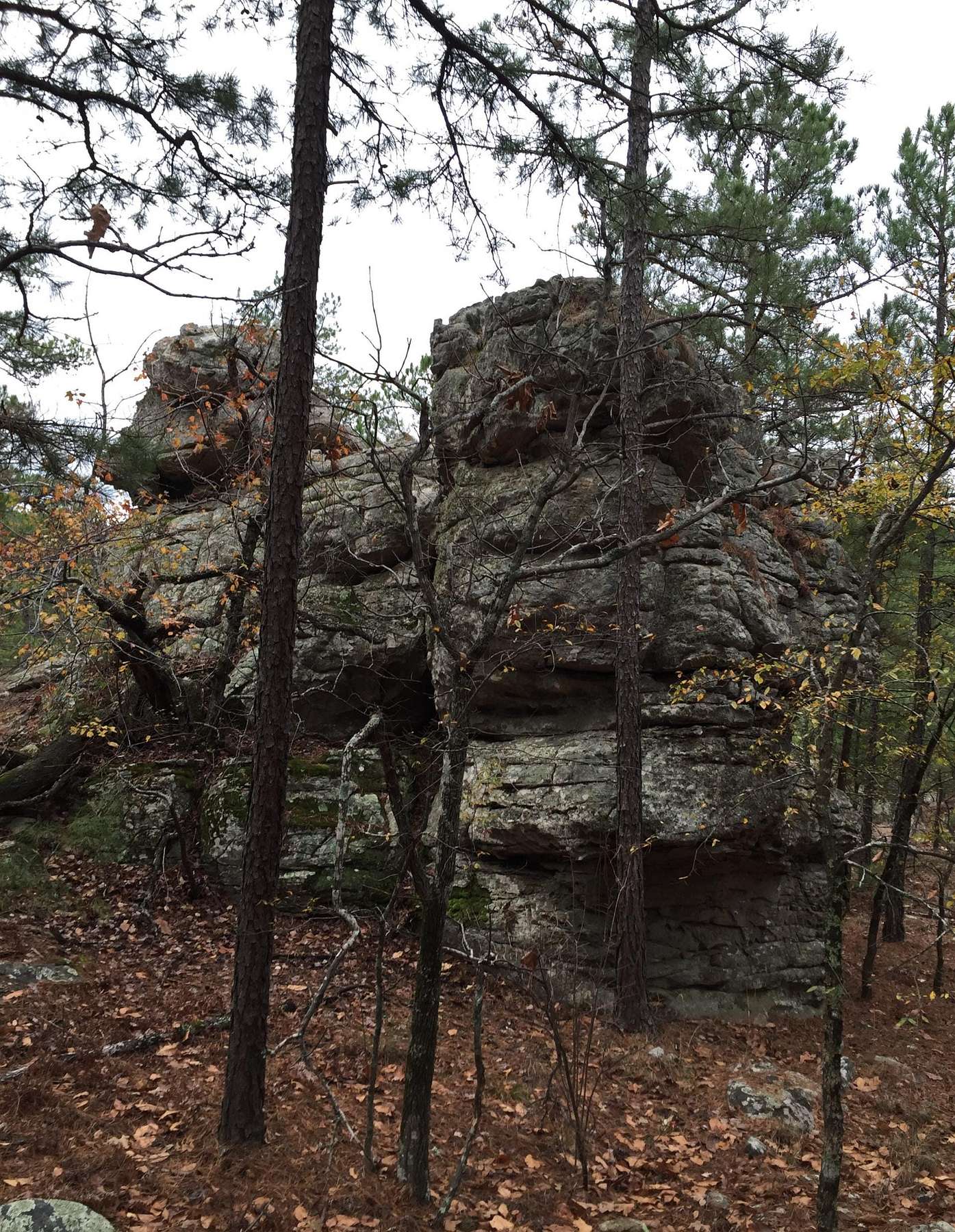 517 Acres of Recreational Land & Farm for Sale in Moyers, Oklahoma