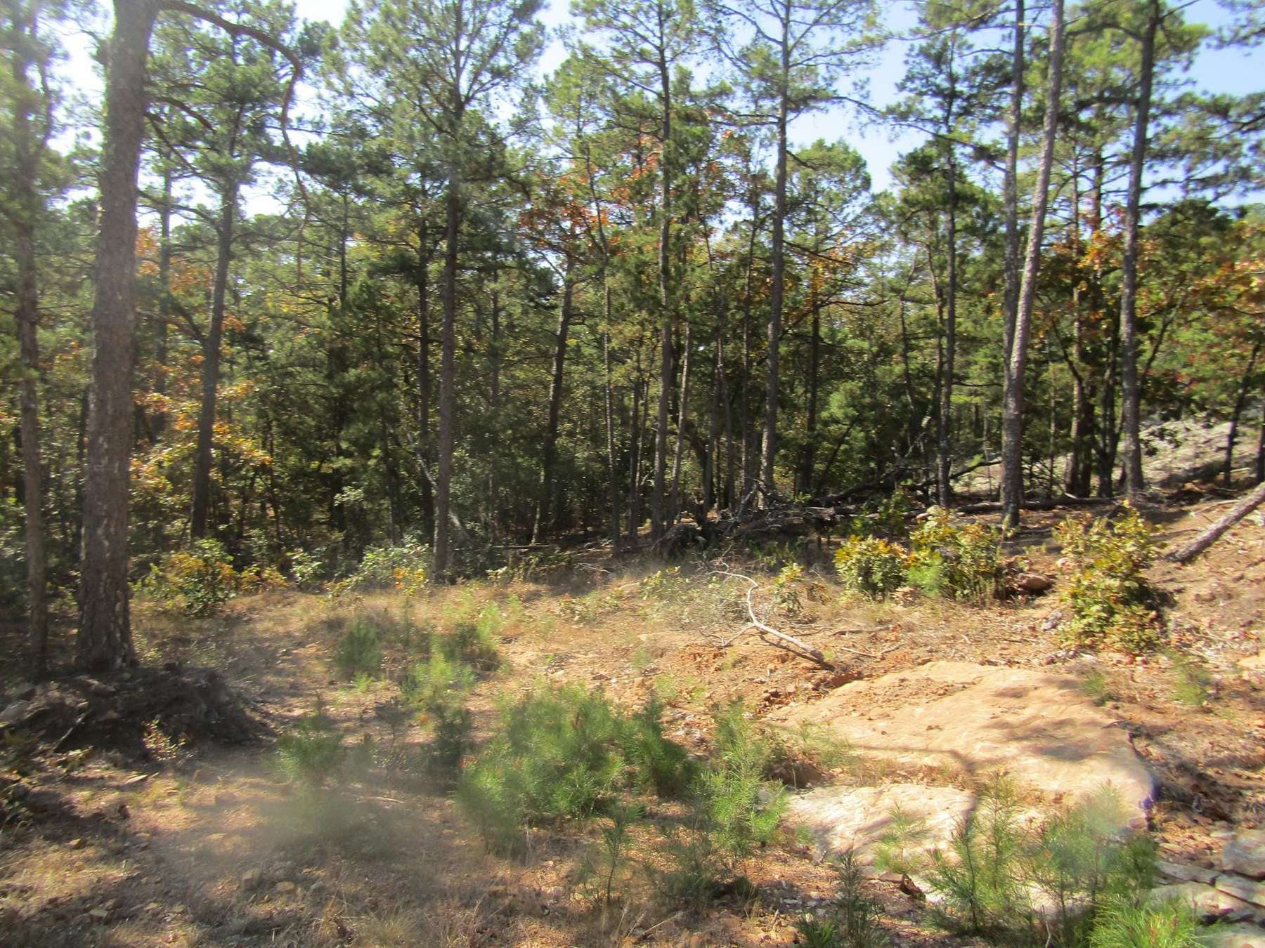 517 Acres of Recreational Land & Farm for Sale in Moyers, Oklahoma