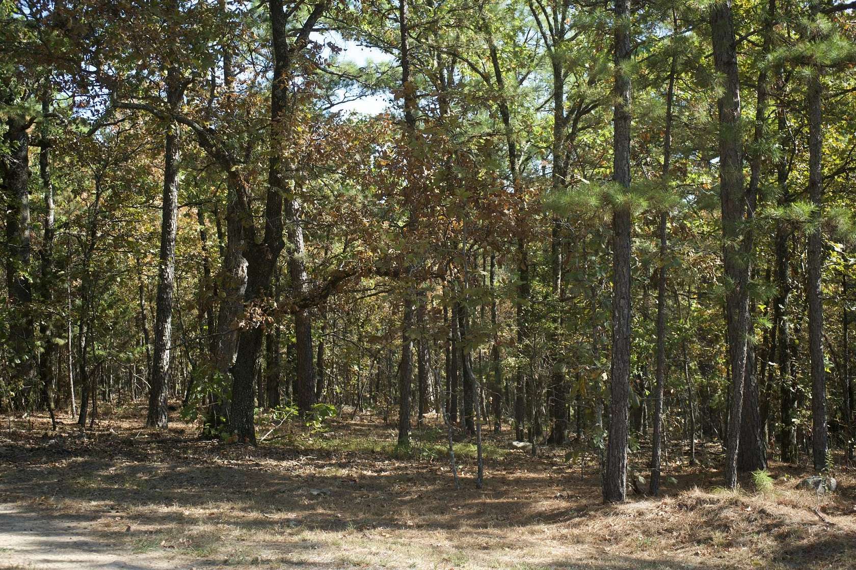 517 Acres of Recreational Land & Farm for Sale in Moyers, Oklahoma