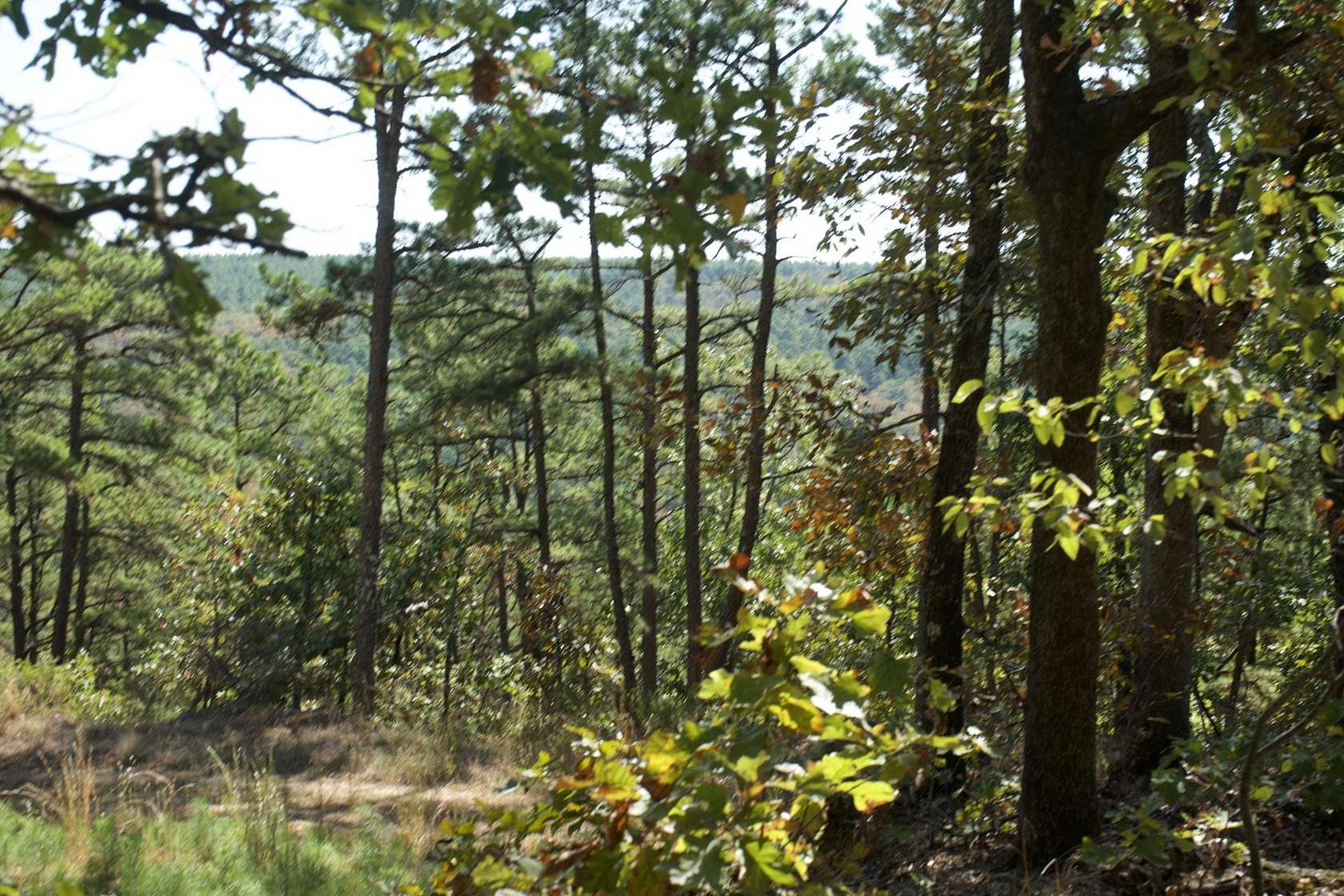 517 Acres of Recreational Land & Farm for Sale in Moyers, Oklahoma