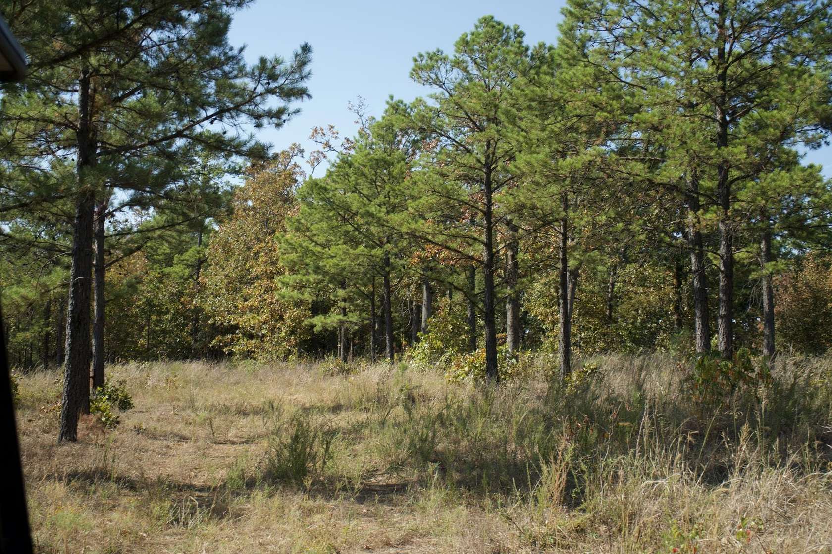 517 Acres of Recreational Land & Farm for Sale in Moyers, Oklahoma