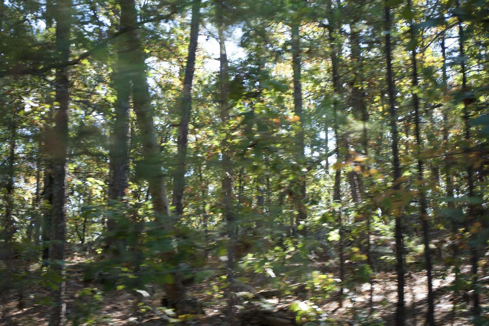 517 Acres of Recreational Land & Farm for Sale in Moyers, Oklahoma