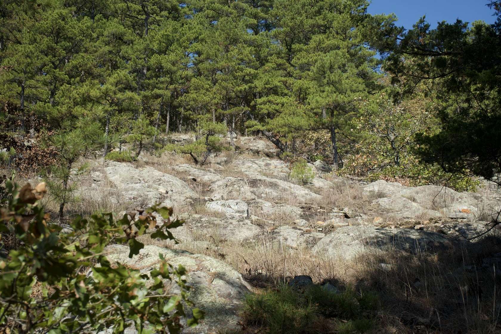 517 Acres of Recreational Land & Farm for Sale in Moyers, Oklahoma