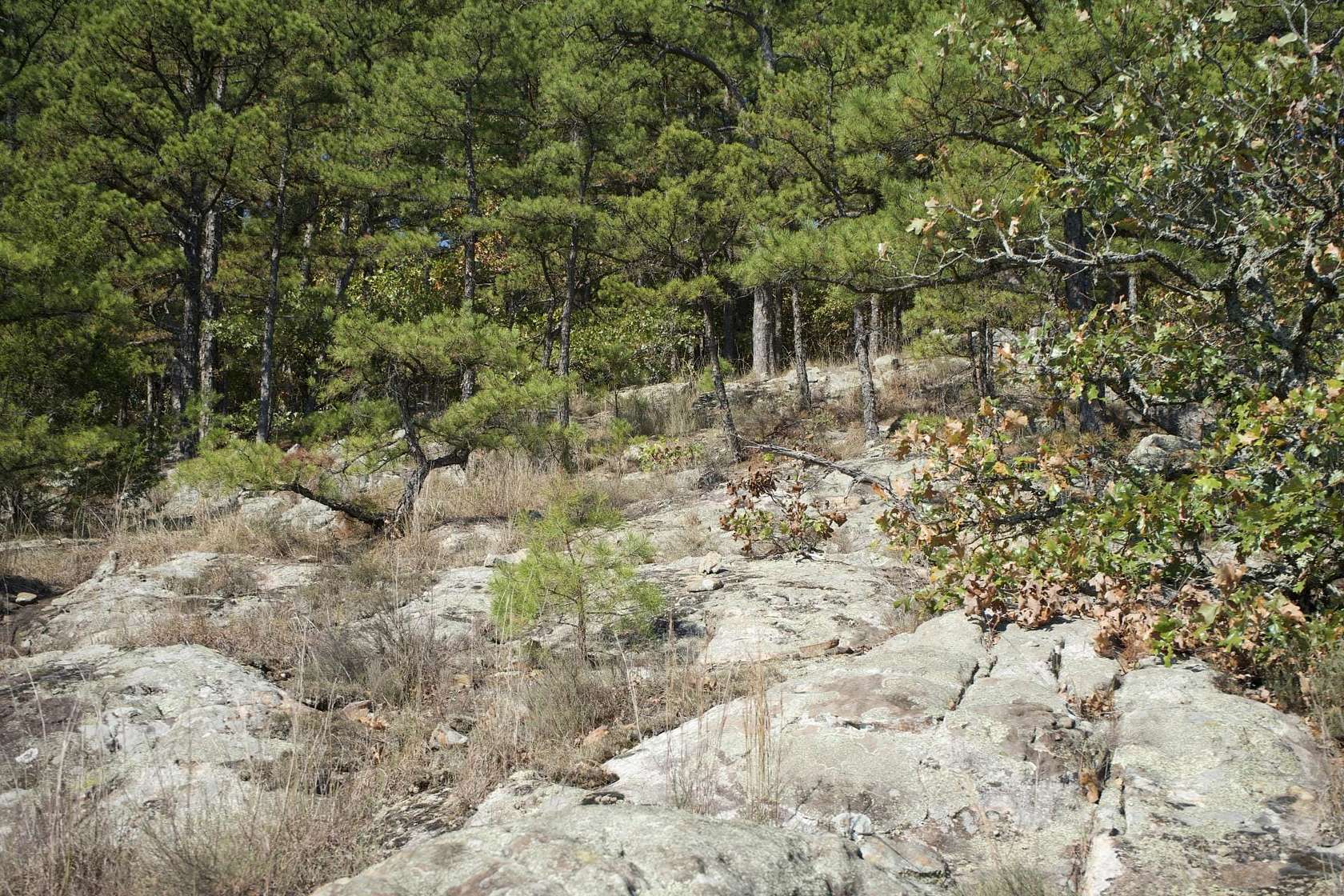 517 Acres of Recreational Land & Farm for Sale in Moyers, Oklahoma