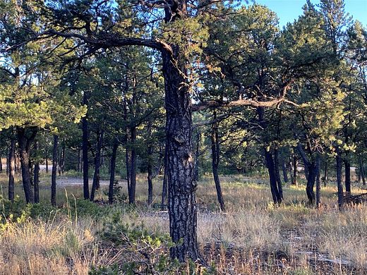 2.37 Acres of Residential Land for Sale in Pecos, New Mexico