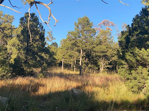 1 Acre of Residential Land for Sale in Pecos, New Mexico