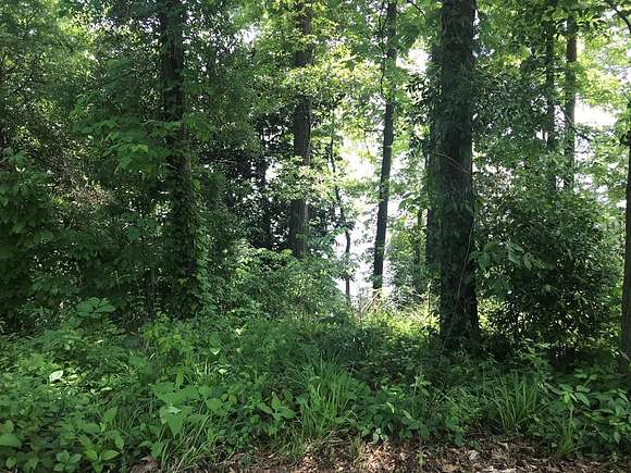 Residential Land for Sale in Eufaula, Alabama