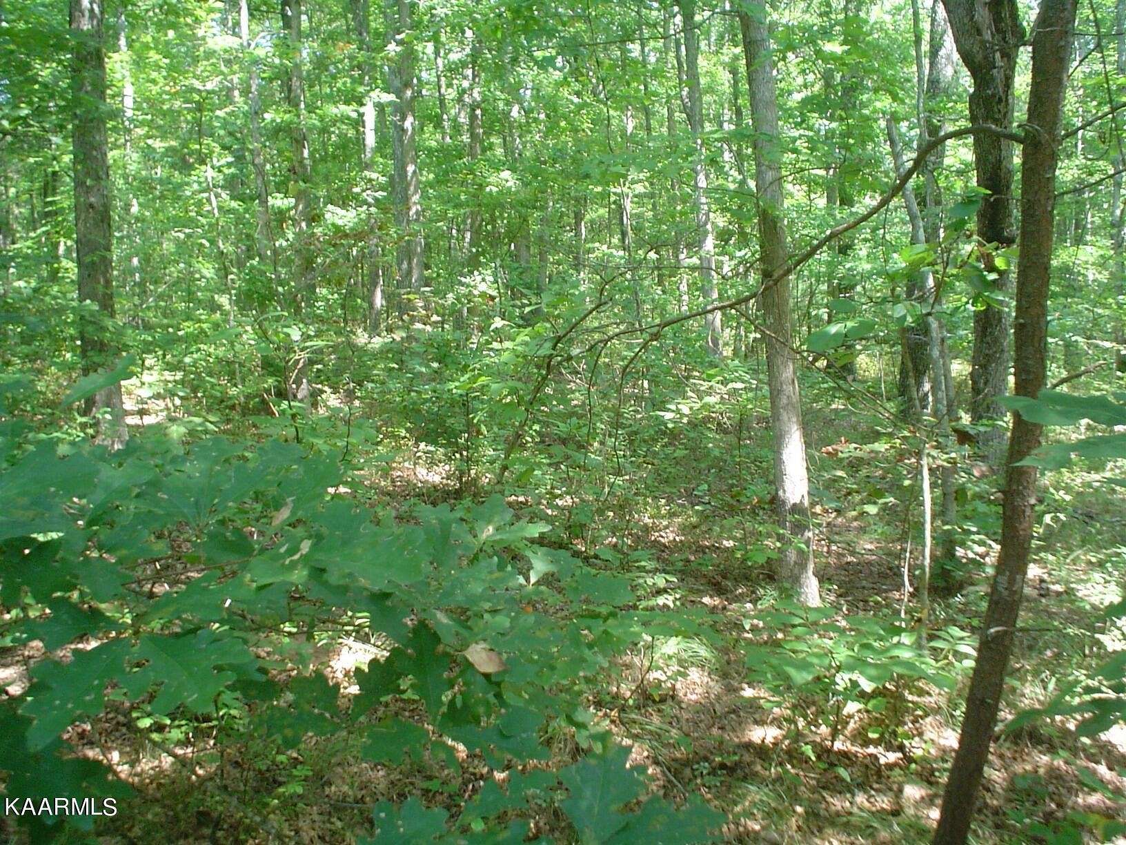 0.23 Acres of Residential Land for Sale in Fairfield Glade, Tennessee