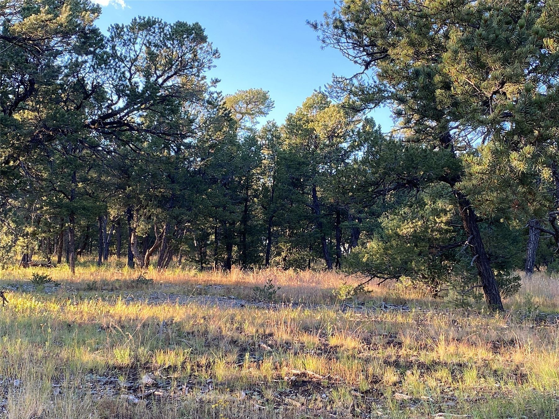 0.79 Acres of Residential Land for Sale in Pecos, New Mexico