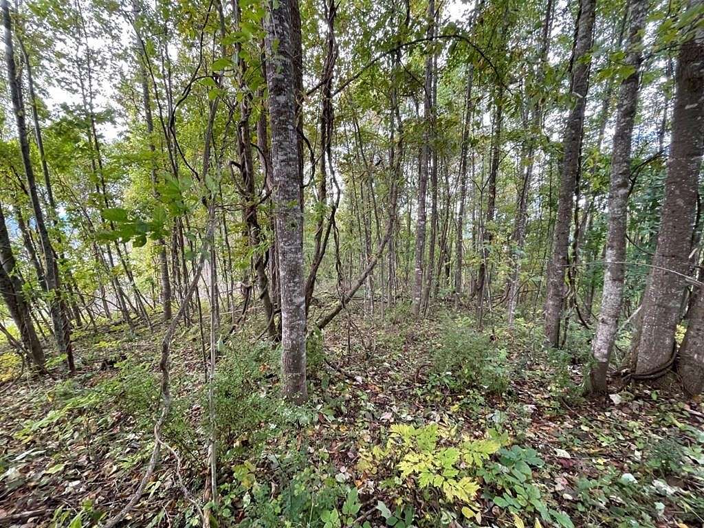 10.6 Acres of Land for Sale in Galax, Virginia