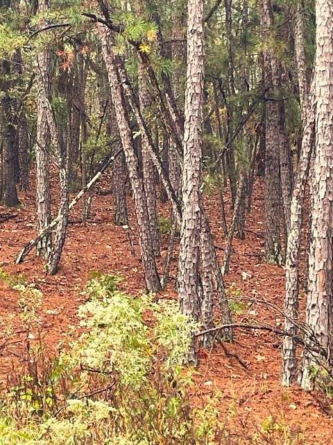 0.95 Acres of Residential Land for Sale in Broken Bow, Oklahoma