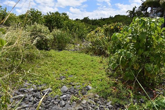 0.276 Acres of Residential Land for Sale in Nāʻālehu, Hawaii