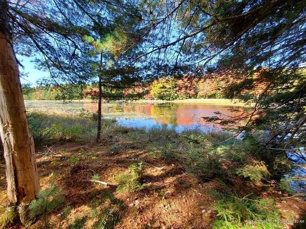 Residential Land for Sale in Greenlaw Chopping Township, Maine