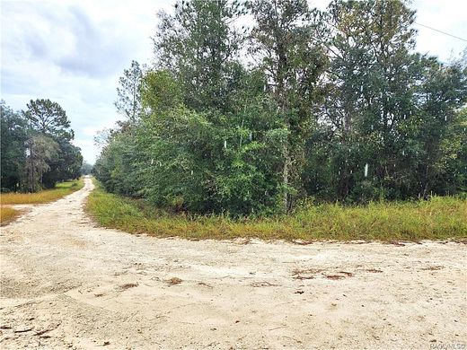 0.78 Acres of Residential Land for Sale in Williston, Florida