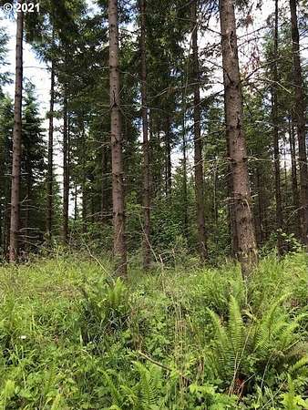 80 Acres of Land for Sale in Warren, Oregon
