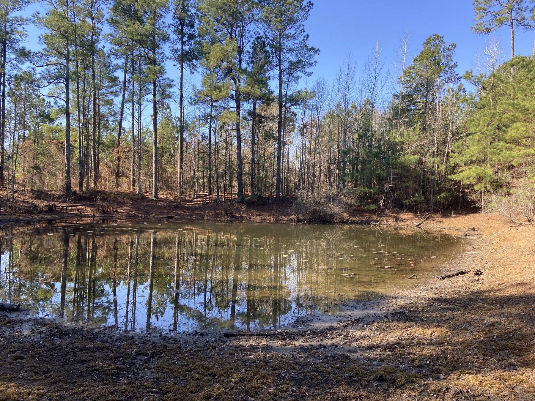 50.4 Acres of Recreational Land for Sale in Fouke, Arkansas - LandSearch