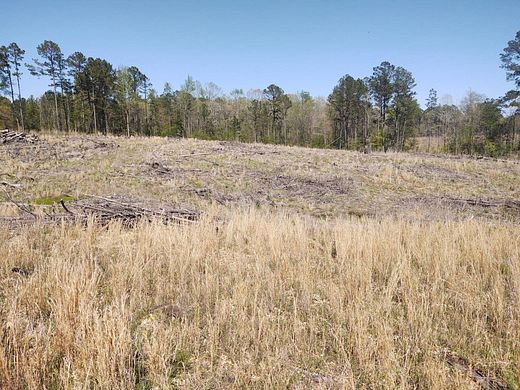 40 Acres of Recreational Land for Sale in Center Grove, Arkansas