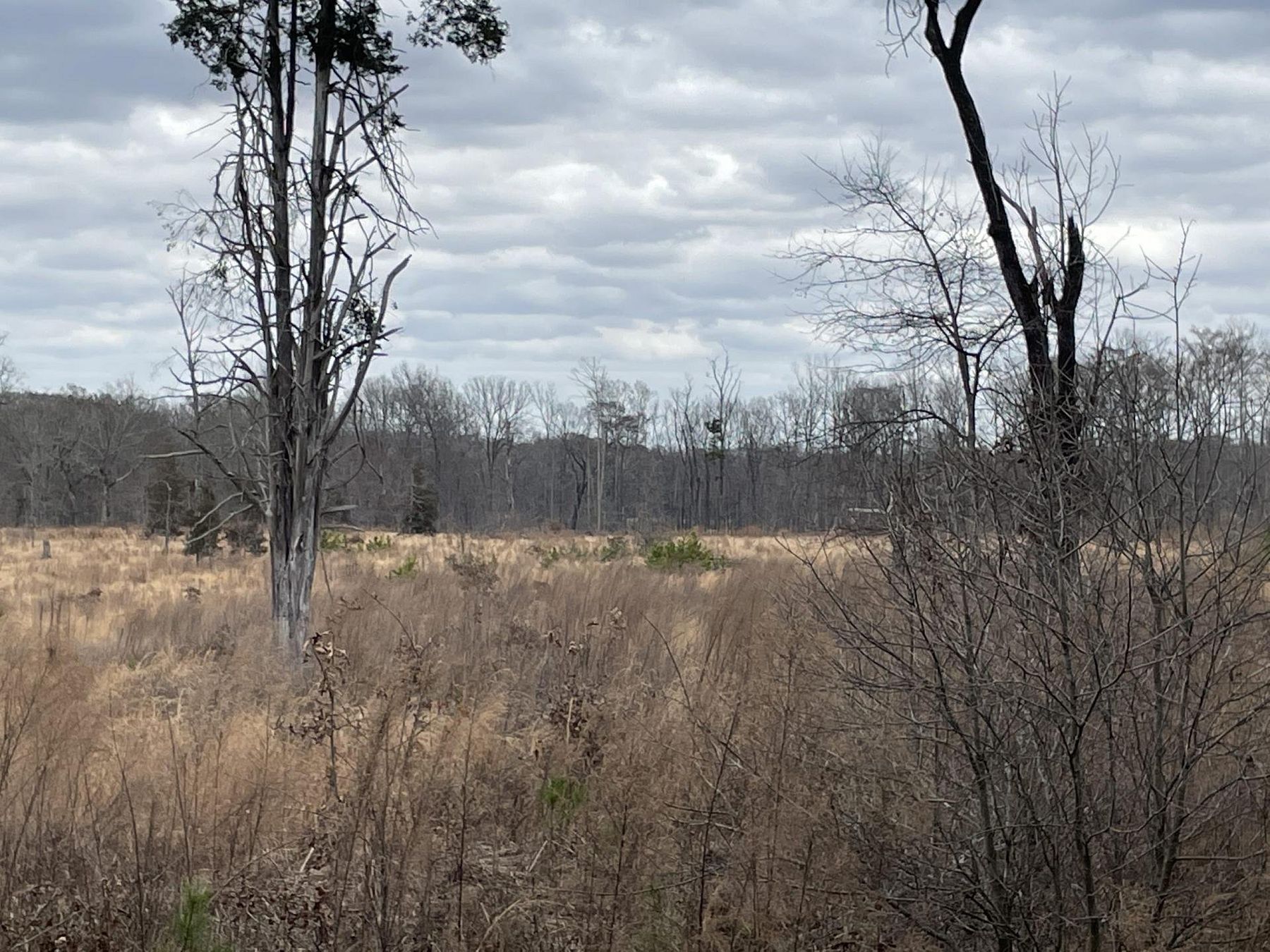 93 Acres of Recreational Land for Sale in Star City, Arkansas LandSearch