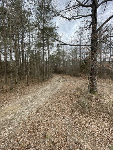 93 Acres of Recreational Land for Sale in Star City, Arkansas
