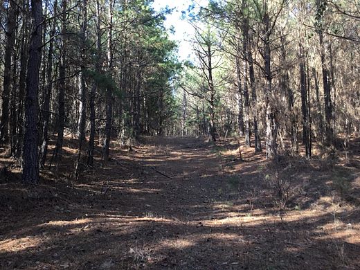 61.8 Acres of Recreational Land for Sale in Woodrow, Arkansas