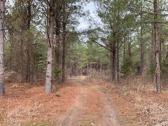 504 Acres of Recreational Land for Sale in Center Grove, Arkansas
