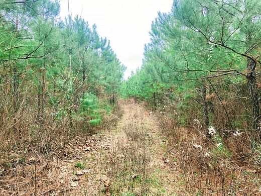 28.1 Acres of Recreational Land for Sale in Falcon, Arkansas