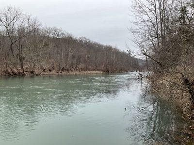 34.3 Acres of Recreational Land for Sale in Hector, Arkansas