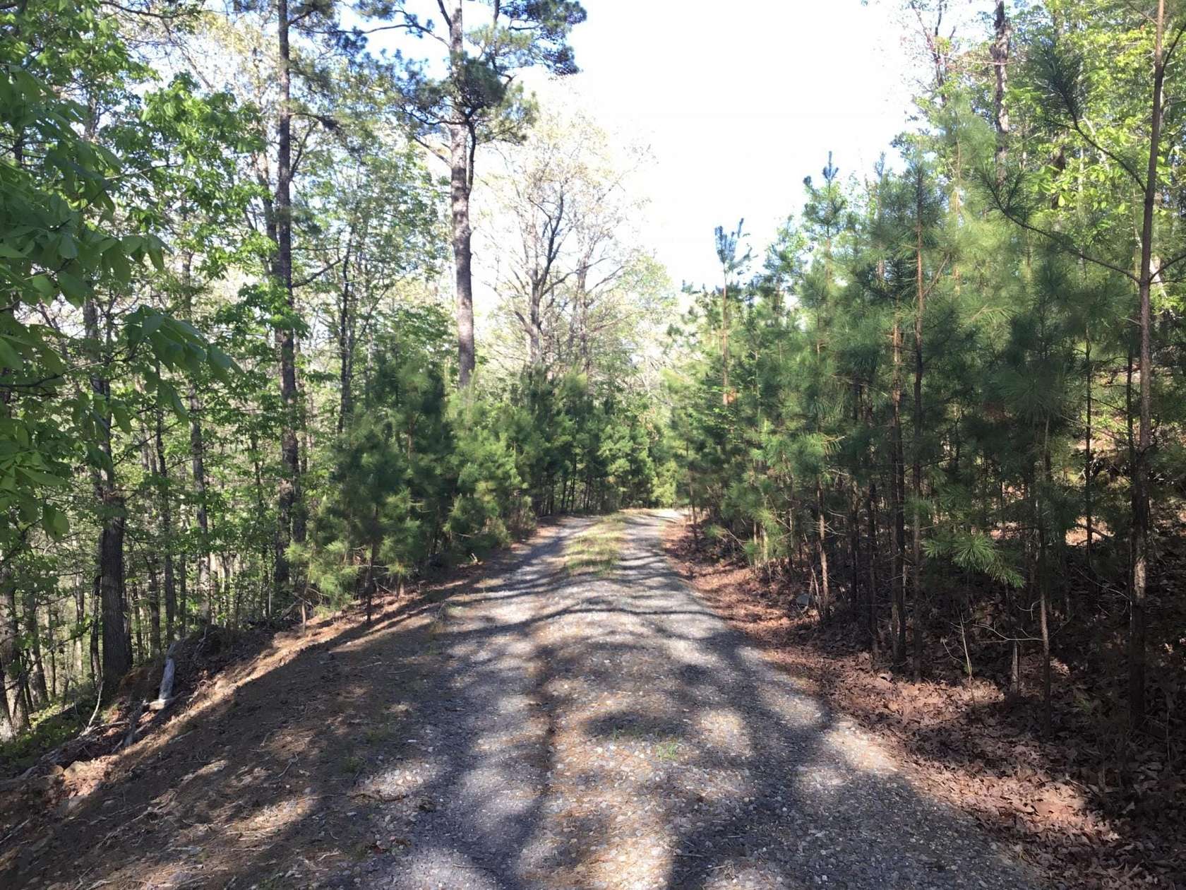 204.11 Acres of Recreational Land for Sale in Little Rock, Arkansas