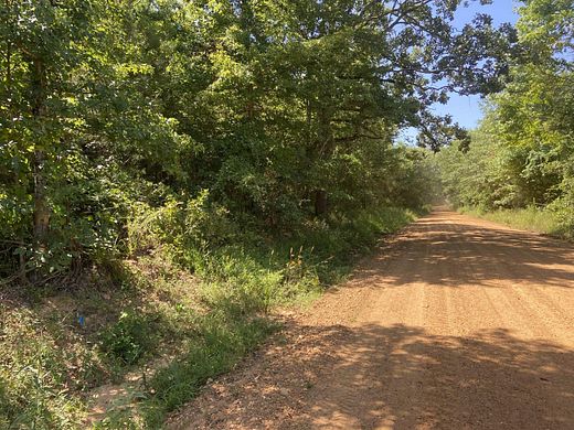 31.3 Acres of Recreational Land for Sale in Falcon, Arkansas