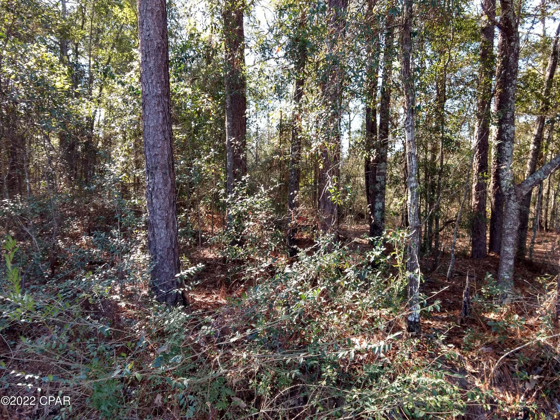0.58 Acres of Residential Land for Sale in Bonifay, Florida