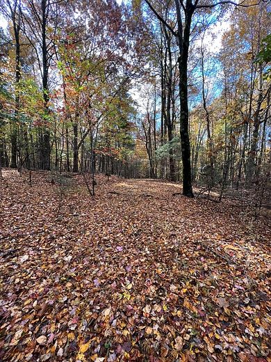 6 Acres of Agricultural Land for Sale in Galax, Virginia