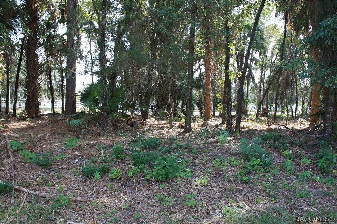 1.59 Acres of Land for Sale in Crystal River, Florida