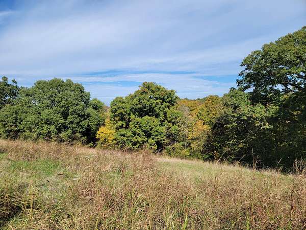 0.49 Acres of Land for Sale in Hollister, Missouri
