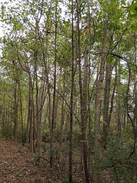 0.53 Acres of Residential Land for Sale in Thomasville, Georgia