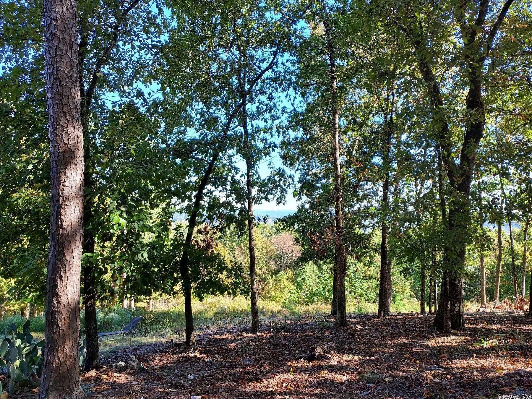 0.26 Acres of Residential Land for Sale in Hot Springs Village, Arkansas