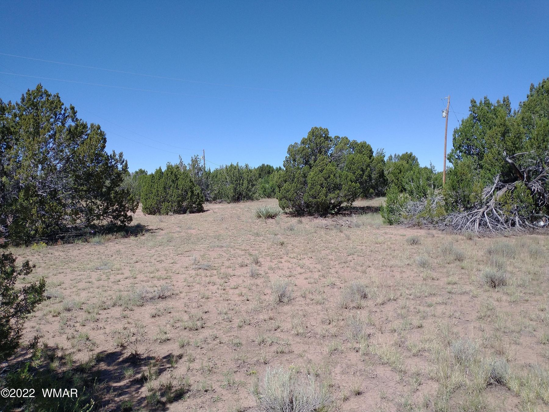 0.44 Acres of Residential Land for Sale in Concho, Arizona