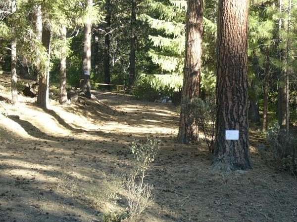 462 Acres of Recreational & Residential Land for Sale in Yreka, California