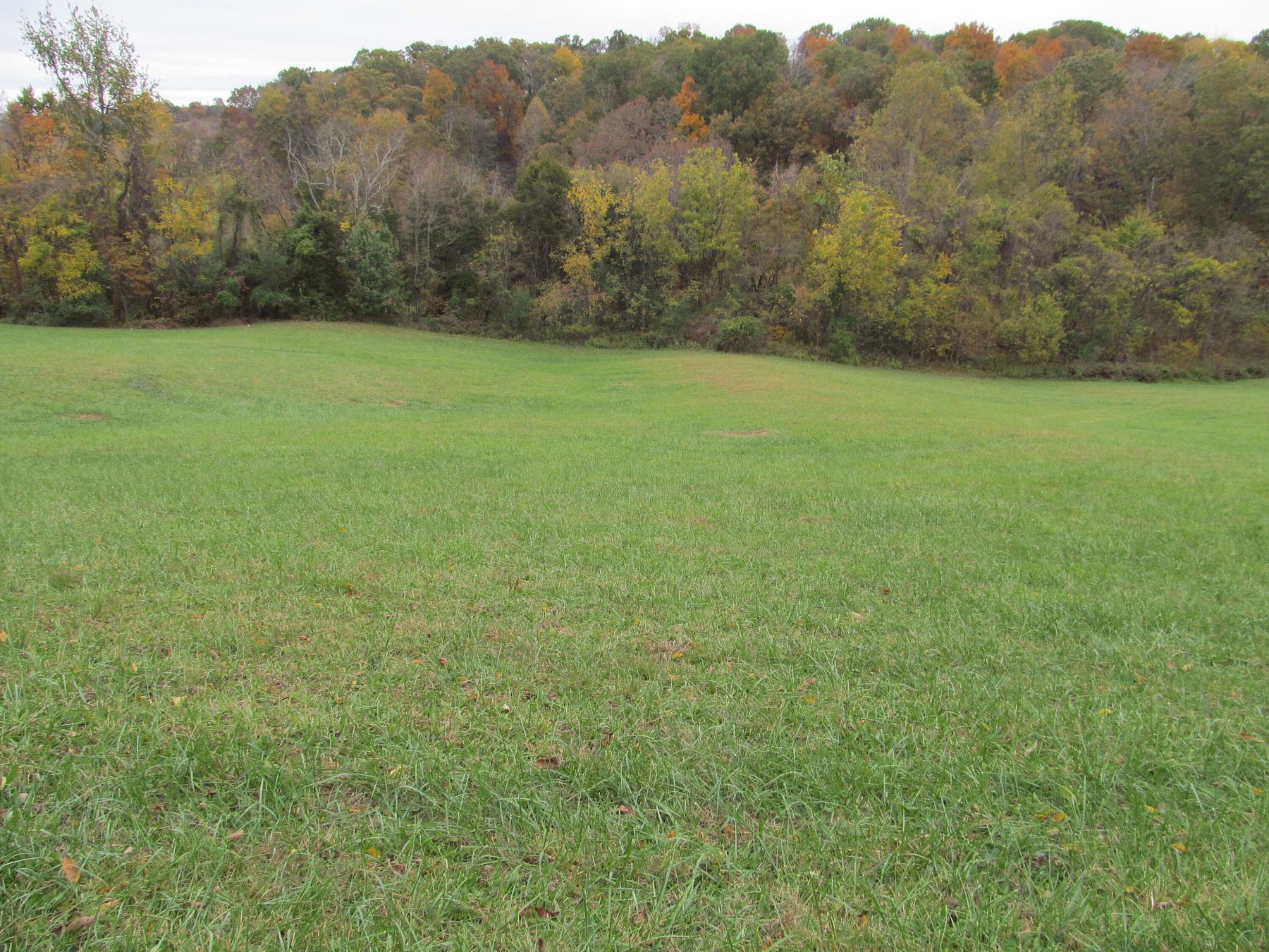 12.5 Acres of Land for Sale in Gray, Tennessee