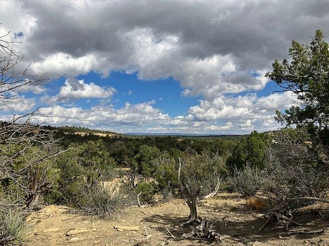 1.3 Acres of Residential Land for Sale in Ramah, New Mexico