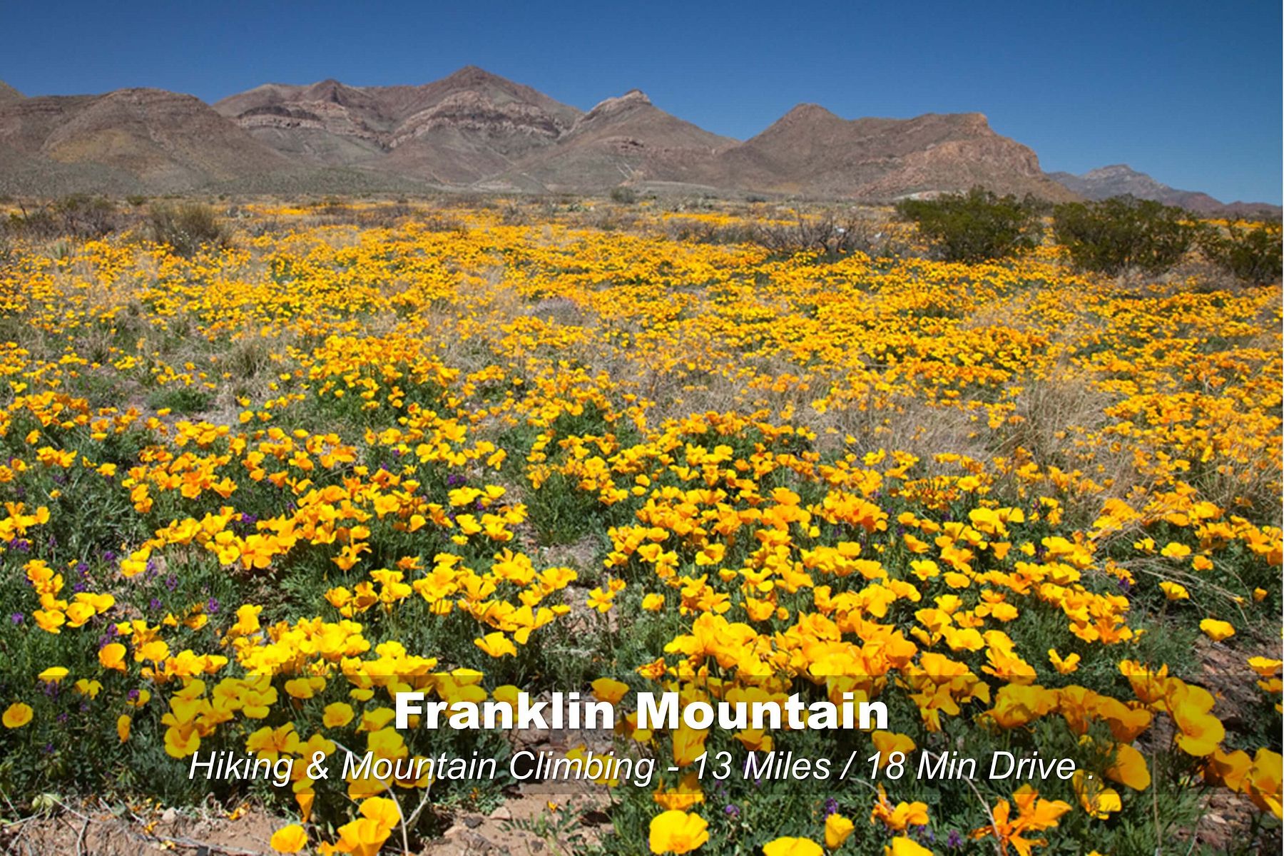 0.07 Acres of Residential Land for Sale in Canutillo, Texas LandSearch