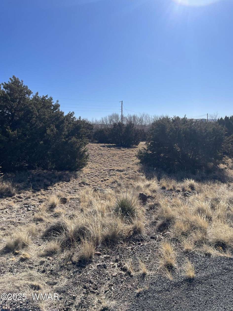0.34 Acres of Residential Land for Sale in Concho, Arizona