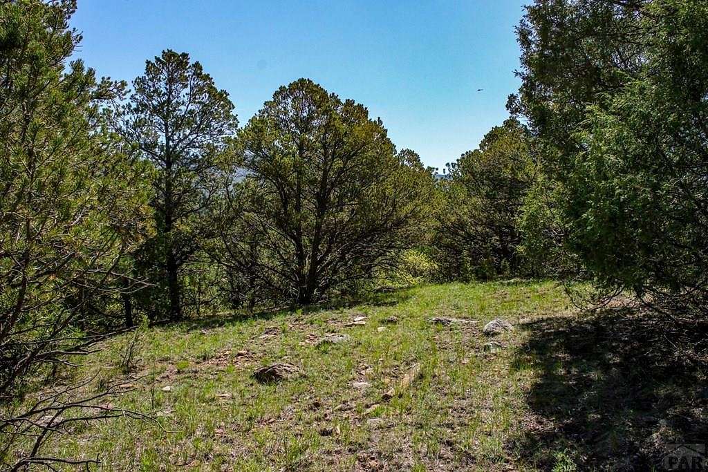 35.1 Acres of Recreational Land for Sale in Trinidad, Colorado