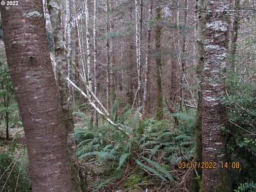 2.8 Acres of Residential Land for Sale in Coos Bay, Oregon