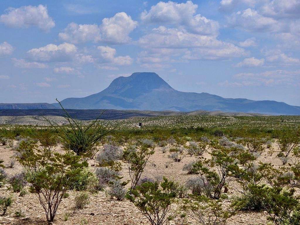 100 Acres of Land for Sale in Alpine, Texas