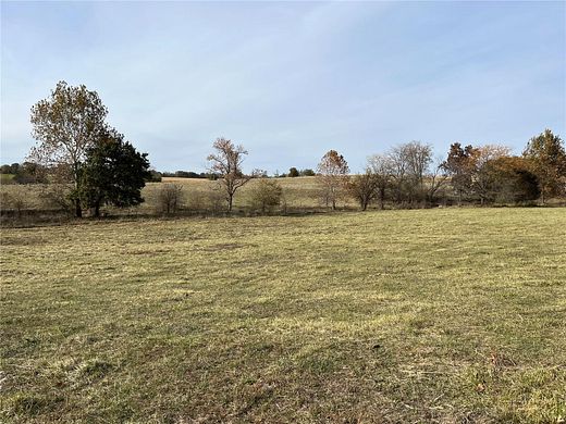 80 Acres of Land for Sale in Bowling Green, Missouri