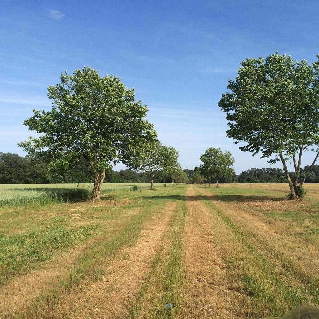 91.8 Acres of Land for Sale in Gargatha, Virginia