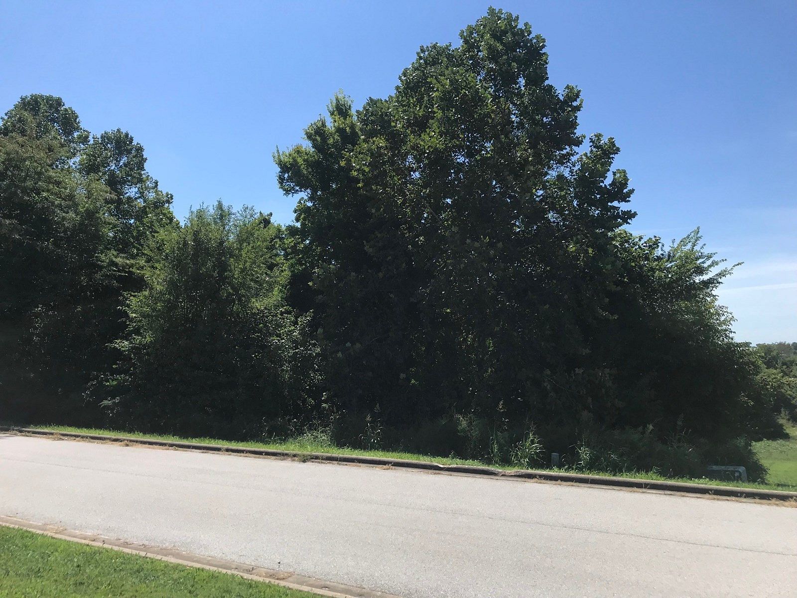 0.33 Acres of Residential Land for Sale in Harrison, Arkansas