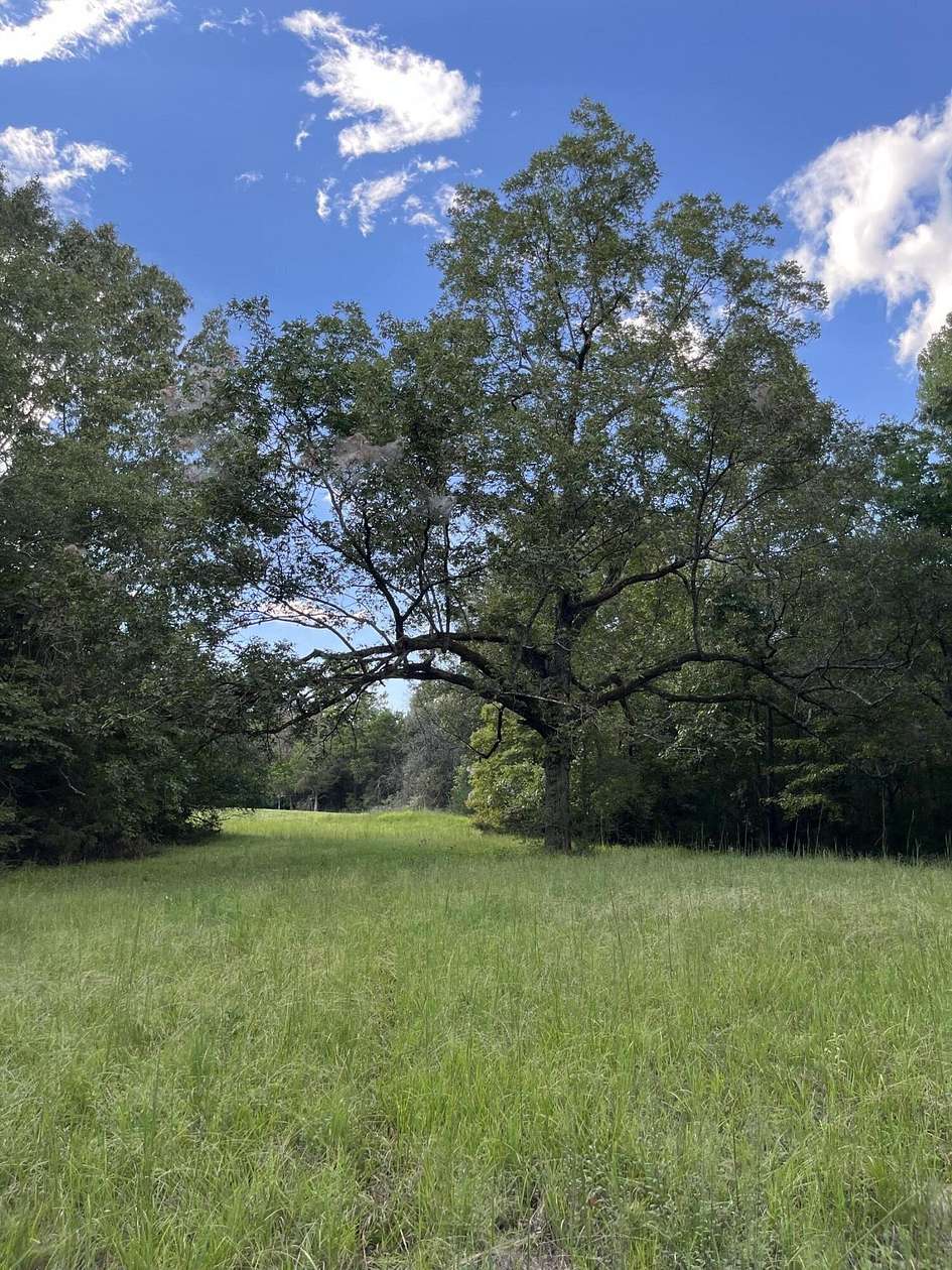 5.44 Acres of Residential Land for Sale in Starkville, Mississippi