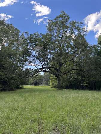 5.44 Acres of Residential Land for Sale in Starkville, Mississippi